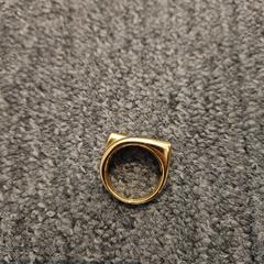 Squillo, come riportato da Ramada by Wyndham Amsterdam Airport Schiphol utilizzando iLost