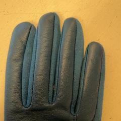 İLost kullanarak GVB tarafından bildirildiği gibi Eldiven