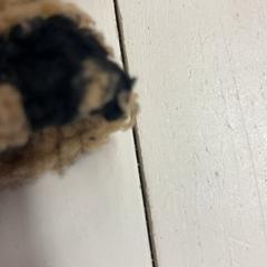 Luva, como reportado por HTM utilizando o iLost