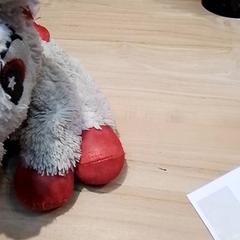 Kuscheltier, gemeldet von Beekse Bergen Resorts en Hotel über iLost