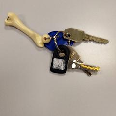 Claus, segons ha informat Vrije Universiteit Amsterdam mitjançant iLost