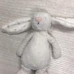 Knuffel, iLost를 사용하여 Hotel van der Valk Maastricht에 보고됨