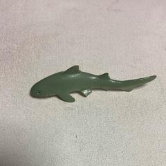 Haai, jak nahlášeno Artis pomocí iLost