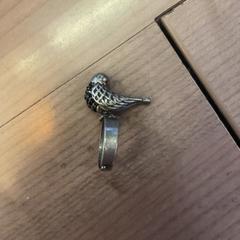 Ringe Zilver met vogel erop, som rapportert av Pathé Arnhem ved bruk av iLost