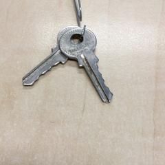 Kľúč, ako bolo nahlásené Haaglanden Medisch Centrum pomocou iLost