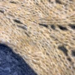 숄, iLost를 사용하여 Diakonessenhuis Utrecht에 보고됨