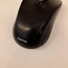 Ratolí, segons ha informat HvA Amstelcampus mitjançant iLost