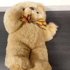 Joguina Knuffelbeer, segons ha informat Regio Limburg - Leuven mitjançant iLost