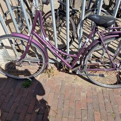 İLost kullanarak Gemeente Roermond tarafından bildirildiği gibi Kadın bisikleti