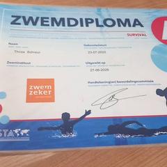 Zwemdiploma, come riportato da RRReis Veluwe Zuid - Ede utilizzando iLost