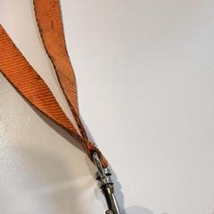 Nøkkel, som rapportert av Gemeente Duiven ved bruk av iLost