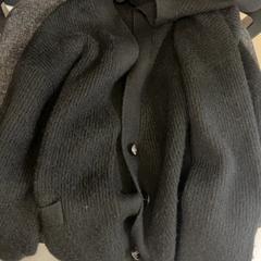 Vesta, jak nahlášeno Heidelberglaan 15 pomocí iLost