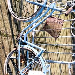 Children's bike elops, as reported by Stadswerk072 using iLost