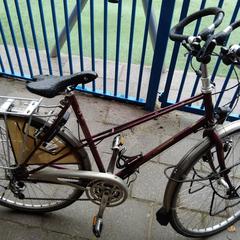 Damesfiets Koga Myata, segons s'ha informat a iLost