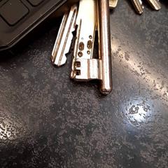 Keys, as reported by Rotterdam The Hague Airport using iLost