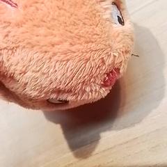 Knuffel, som rapportert av Beekse Bergen Resorts en Hotel ved bruk av iLost