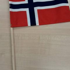 Flagga, rapporterat av IKEA Leangen med iLost