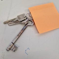 Keychain sleutwlbos, as reported by Transdev Gooi en Vechtstreek using iLost