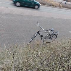 Heren Fiets, iLost에 보고됨