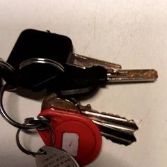 Chaves, como reportado por Qbuzz ZHN utilizando o iLost