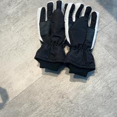 Gloves, as reported by Arriva Achterhoek-Rivierenland using iLost