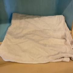 Törölközők, amint azt Familie Resort Molenwaard az iLost segítségével jelentette.