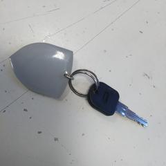 Sleutel, a été signalé par Hermes Eindhoven utilisant iLost