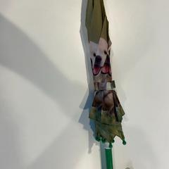 İLost kullanarak Centraal magazijn tarafından bildirildiği gibi Şemsiye