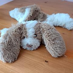 Platte knuffel hond, som rapporterats till iLost