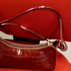 Tasje, as reported by Syntus Provincie Utrecht using iLost