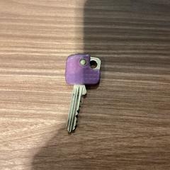 Kulcs Paars - 151225BIDF, amint azt Ziggo Dome az iLost segítségével jelentette.