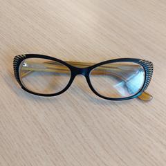 Ulleres, segons ha informat EBS OV Poeldijk mitjançant iLost