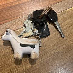 Chaveiro, segundo informou Gemeente Heemstede usando iLost