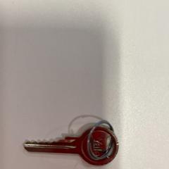 Sleuteltje, zoals gemeld door Gemeente Noordwijk met iLost