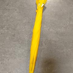 Esernyő Geel, amint azt Regio Oost-Vlaanderen az iLost segítségével jelentette.