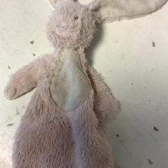 Knuffel, as reported by Artis using iLost