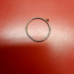 Ringetje?, som rapportert av UvA REC ved bruk av iLost