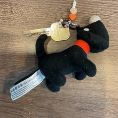 Kľúče, ako bolo nahlásené Gemeente Amsterdam - Bureau Gevonden Voorwerpen pomocou iLost