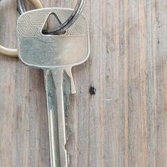 Keys, som rapporterats till iLost