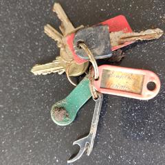 Sleutelbos, gerapporteerd met iLost