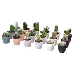 IKEA produktua, gisa salatu by IKEA Alcorcón iLost erabiliz