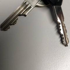 Sleutelbos, zoals gemeld door St. Antonius Ziekenhuis Nieuwegein met iLost