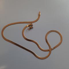 Ketting goudkleurig, as reported by Connexxion Zeeuws-Vlaanderen using iLost