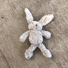 İLost kullanarak Gemeente Alkmaar tarafından bildirildiği gibi Sevimli ayı