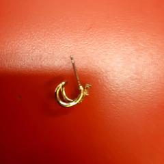 Kolczyk, zgłoszono przez UvA REC przy użyciu iLost