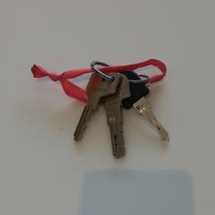 İLost kullanarak Arriva Limburg Zuid tarafından bildirildiği gibi Anahtar