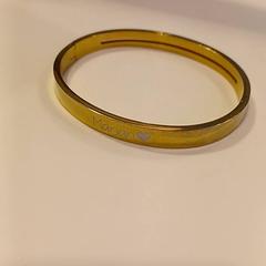 Sieraad, zoals gemeld door RAI Amsterdam met iLost