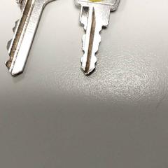 Sleutels がiLostで Centraal magazijn によって報告されました