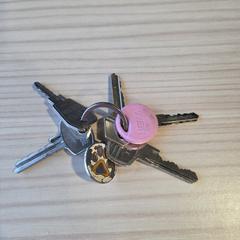 Sleutelbos, como reportado ao iLost