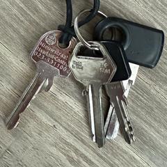 Sleutelbos an iLost gemeldet